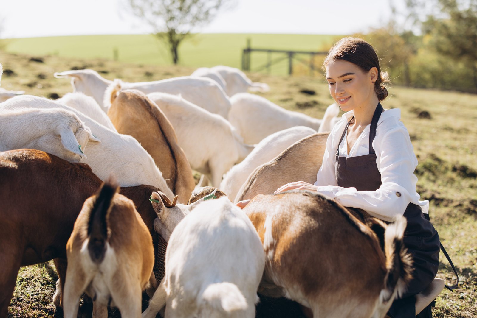 Livestock & Aquaculture