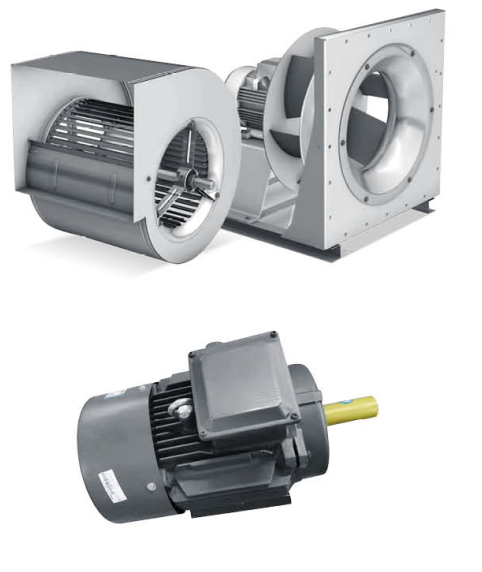 Fan & Motor